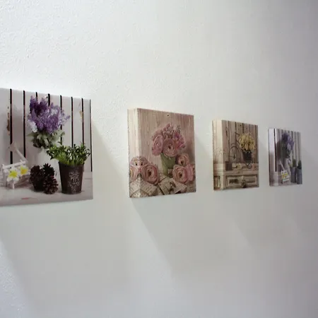 Oasi Del Gabbiano Bed and Breakfast