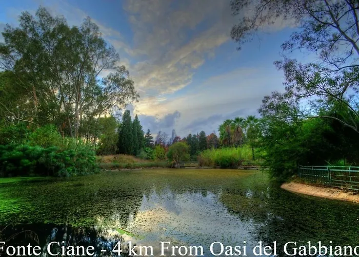 Oasi Del Gabbiano Syracuse